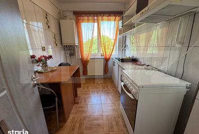 Apartament cu 2 camere semidecomandat în Brazda lui Novac - 8