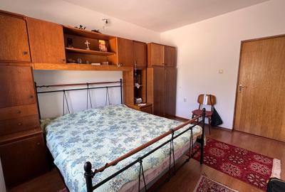 Vila cu curte generoasă Lazu - 10