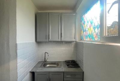 Aparatament spatios si primitor - 7