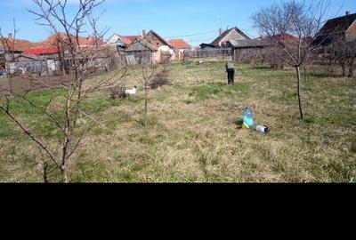 Casă cu 2 camere în Central - 3