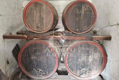 Casa individuala cu 3 camere ,teren 4222 mp in exclusivitate Dorobanti - 6