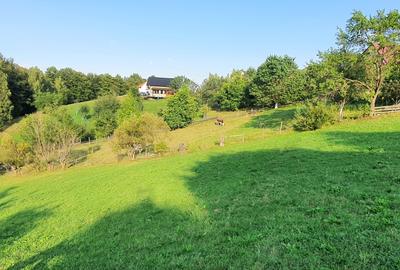 Teren pentru investitie sau casa de vacanta , Pestera , Brasov - 6