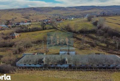 Teren de 7400 mp, în Căpușu Mare - 5