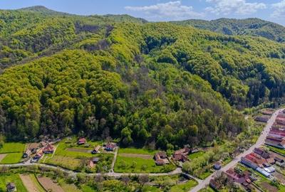 Teren 900, extravilan, pretabil refugiu de weekend - 2