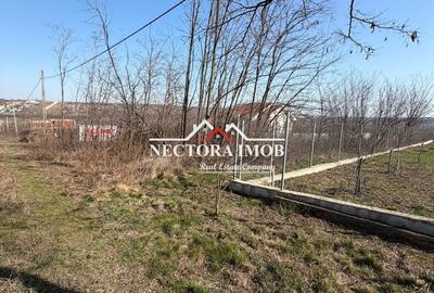 Spațiu comercial, în Paleu