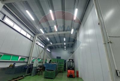 Spațiu industrial, de 880 mp, în Muntenii de Jos - 41