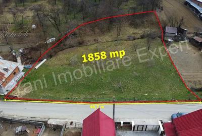 Teren de 1858 mp, în Dobrotu - 7