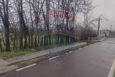 Teren agricol intravilan de 2205 mp, în Cocora - 11