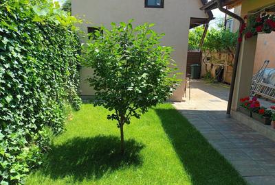Vanzare proprietate cu doua case si intrari separate curte Giulesti - 14