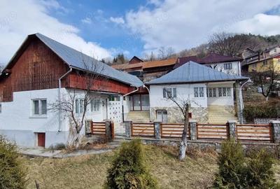 Casă cu Teren 1500 Mp în Valea Doftanei - 4