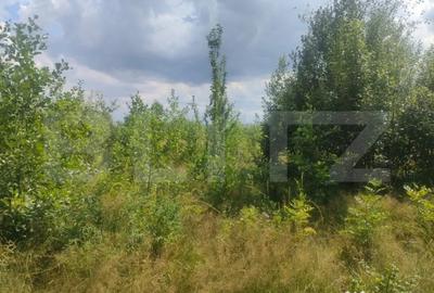 Teren de 5857 mp, în Horodnic - 3
