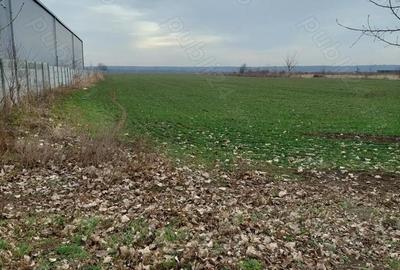 Teren de 2500 mp, în Moara Domnească - 1