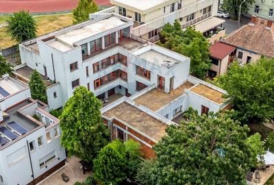 Casă cu 19 camere cu Piscina în Malul Mureșului - 25