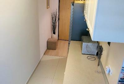 Garsoniera 46 mp, Matei Basarab 96 - Delea Noua - 8