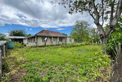 Casa + teren 4430 mp, vie si pomi fructiferi, 22 km de Tecuci - 31