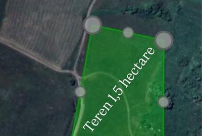 Teren de 15000 mp, în Exterior Vest - 1