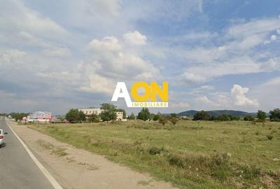 Teren de vanzare, zona soseaua de Centura, 10.000MP, deschidere 50ml - 3