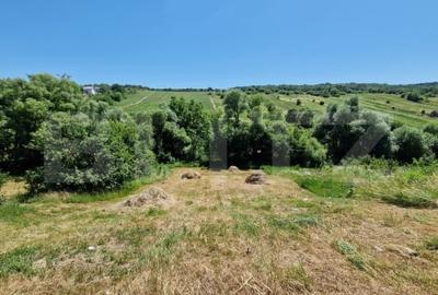 Teren intravilan,  ideal constructie casa, 12 ari in zona Valea Ghinzii - 4