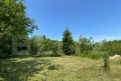 Teren intravilan de vanzare 30 ari Zona Podul Jelne - 4