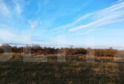 Oportunitate! Teren cu PUZ finalizat, zona Wonderland, 1038 - 2