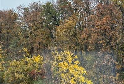 Garsonieră nedecomandată, mobilată în Mogoșoaia - 20