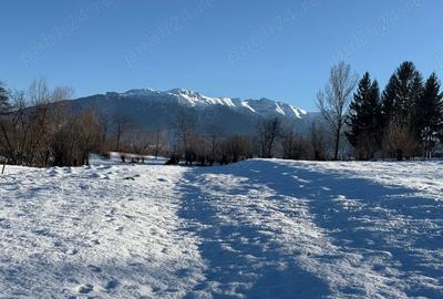 Teren de 500 mp, în Tohănița - 6