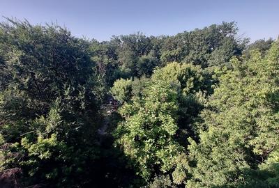 Apartament 3 camere Băneasa - Herăstrău - 10
