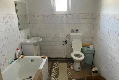 Casă cu 3 camere în Balinț - 5