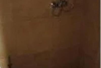 Apartament 2 camere Berceni - 2