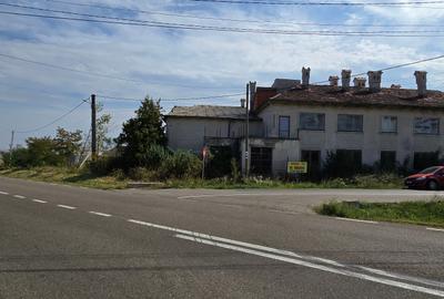 Constructii la strada in Cucorani pe 1 ha de teren - 1