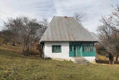 Vand casa de locuit in loialitatea Rogojel - 3