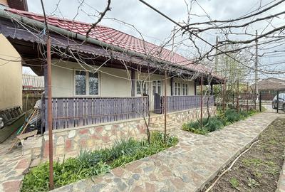 Snagov Izvorani casa locuibila cu livada de pomi fructiferi - 7