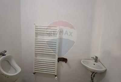 Hotel/Pensiune, de 270 mp, în Baia de Fier - 13