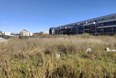 Teren intravilan Tractoru Utilitati - 3