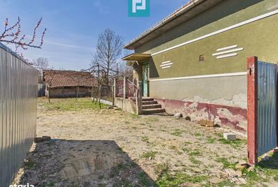 Casă cu 4 camere cu Teren 6000 Mp în Central - 17