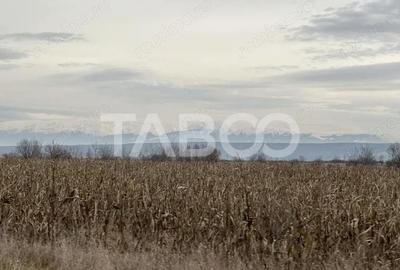 Teren de 3611 mp, în Cristian