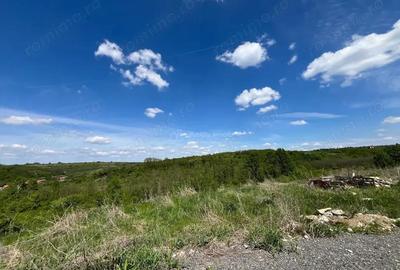 Teren de 8200 mp, în Lugoj - 12