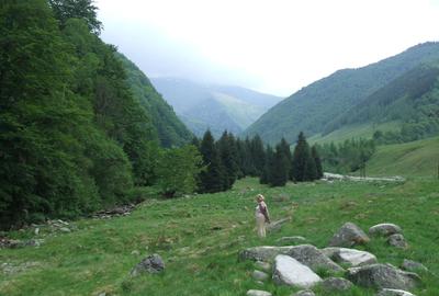 Raul Mare Retezat, spre statiunea de schi Rausor, Judetul Hunedoara - 2