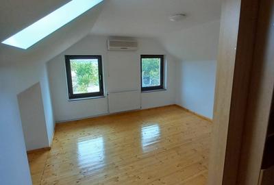 CASA CU TEREN GENEROS IN GRUIU - 16