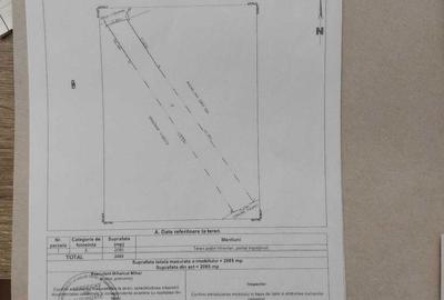 Spațiu comercial, în Micșunești - 5