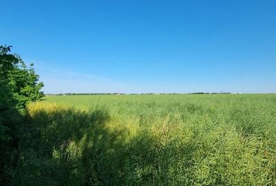 Teren agricol extravilan de 110 mp, în Stâlpu - 6