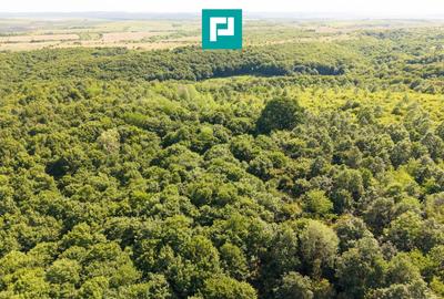 Teren agricol extravilan de 22900 mp, în Exterior Sud - 10