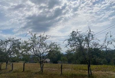 Casa Valea-tarnei sinteu - 1