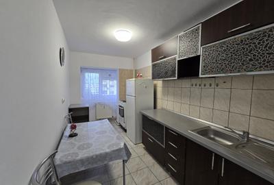 Apartament cu 2 camere decomandat, mobilat în Dristor - 12
