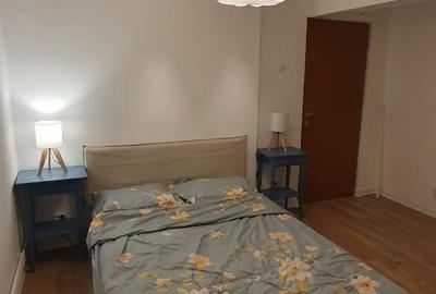 Apartament cu 2 camere decomandat în Lacu - 5