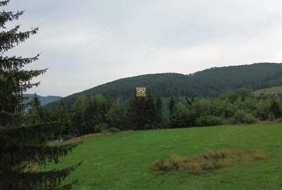 Teren de 5023 mp, în Voroneț - 2