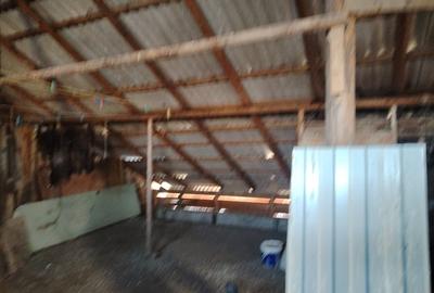 Apartament luminos si primitor de vanzare - 11