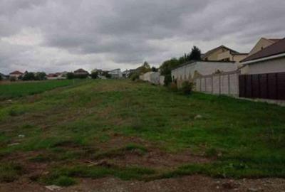 Spațiu comercial, în Valu lui Traian - 3