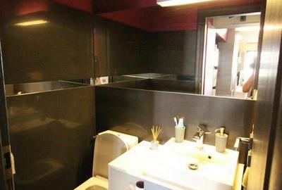 Apartament cu 2 camere, mobilat în Grozăvești - 10