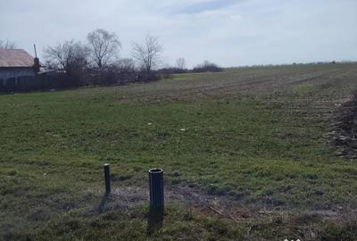 Teren de 15500 mp, în Dascălu